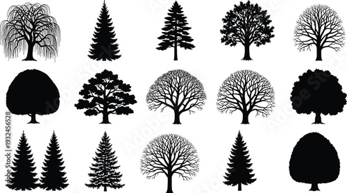 Black tree silhouette collection with pine spruce willow and oak isolated on white background for landscape architecture and garden vector design