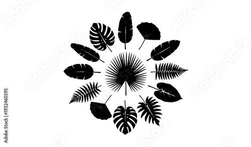 Tropical Leaf Silhouette Circle Composition with Palm, Monstera, Banana, and Exotic Botanical Shapes for Jungle, Summer, and Decorative Design Projects