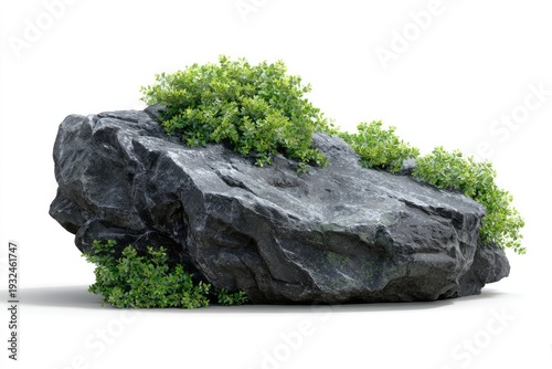 Gray rock with green plants
