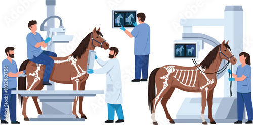 Professional Equine Veterinary Clinic Illustration Showing Veterinarians Performing X-Ray Scans and Bone Examinations on Horses with Advanced Medical Imaging Technology Equipment