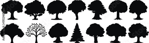 Collection of tree silhouettes set, black forest trees isolated on white background, nature landscape design elements vector illustration