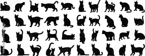 Collection of black cat silhouettes in various poses on a white background animal