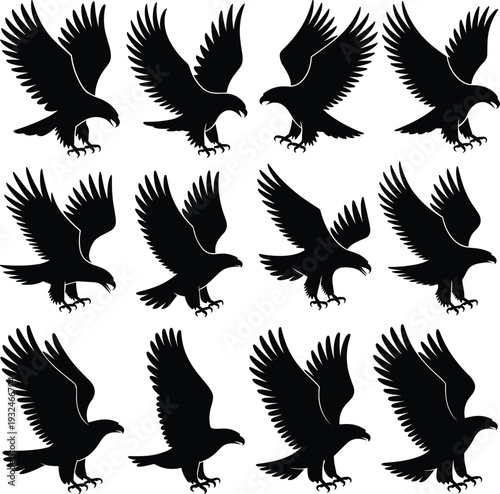 Flying eagle silhouettes collection, black raptor bird set with spread wings, predator wildlife isolated vector illustration design