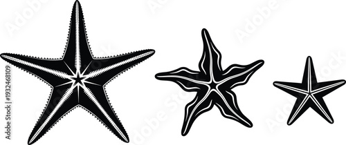 Starfish silhouette collection vector illustration, detailed sea star shapes isolated on white background, marine ocean design elements