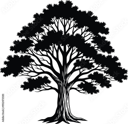 A majestic tree with sprawling branches and lush foliage