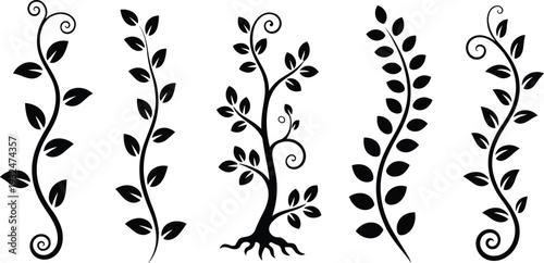 Elegant Black Silhouette Collection of Organic Vine Leaves Swirls and Floral Branch Dividers Isolated on White Background for Decorative Design Elements and Borders