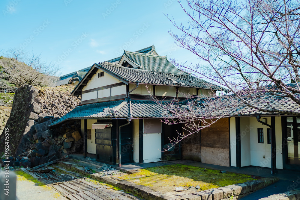 Fototapeta premium 【熊本】震災後復興中の熊本城 2026