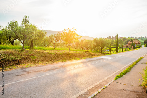 View from the vineyards of the skyline of San Gimignano in Italy.