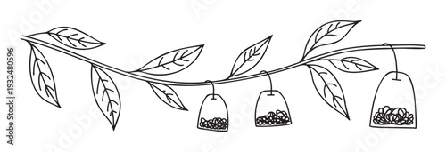 An outline graphic showing a tea plant branch with multiple natural leaves and three tea bags hanging, ideal for organic product branding, healthy lifestyle promotion, and beverage