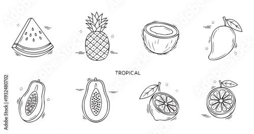 Collection of hand drawn line icons featuring fresh tropical fruits including watermelon pineapple coconut mango papaya lime and lemon perfect for healthy food concepts summer recipes and