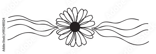 Simple floral divider with an outlined daisy flower and flowing wavy lines creating an elegant horizontal ornament for scrapbooking or spring themed graphic projects.