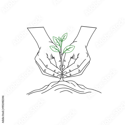 Planting Hands Gently Holding a Young Green Sprout in Soil