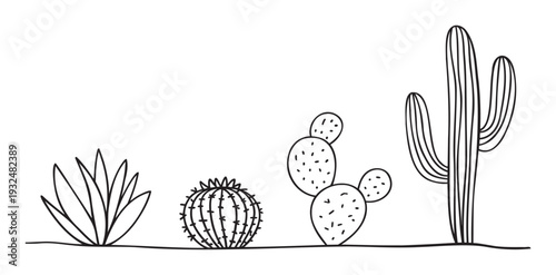 Simple black outline drawing featuring various desert cacti and succulent plants suitable for educational materials or a minimalist graphic resource