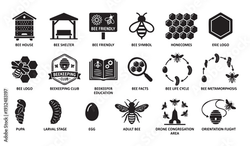 Comprehensive set of beekeeping and honey bee life cycle icons providing essential visuals for educational materials, nature conservation campaigns, and agricultural presentations