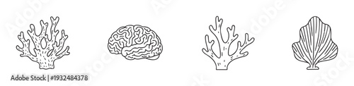 A collection of natural shapes including coral reef structures and a human brain in simple outline drawings perfect for biology education, scientific presentations, or naturethemed graphic