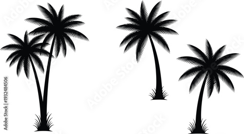 Palm tree silhouette collection, tropical coconut palms isolated black beach nature elements for summer landscape design, flat vector illustration