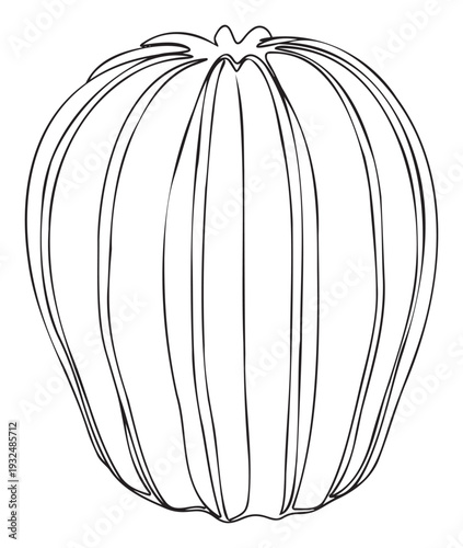 A minimalist outline drawing of a classic autumn pumpkin showcasing its unique ribbed texture, ideal for seasonal holiday decorations, cooking themes, or childrens coloring activities.