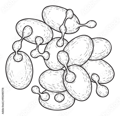 Abstract black and white organic fluid shapes interconnected in a dynamic cluster perfect for contemporary backgrounds, scientific visuals, or modern graphic design projects