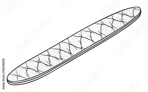 Monochromatic outline drawing depicting a textured oblong shape resembling a long loaf of bread or a seed pod, ideal for cooking blogs, food packaging, or educational nature graphics.
