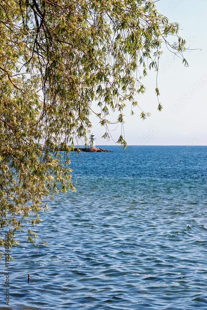 Fototapeta premium Tranquil lake with a lighthouse and overhanging lush green tree branches
