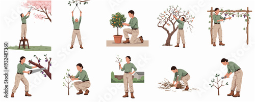 Detailed Flat Illustration Set of Gardener Pruning Tree and Plant Collection