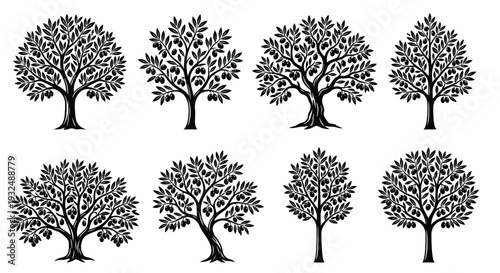 Black and white illustration of six stylized fruit trees with rounded canopies