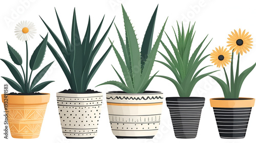 pack of stylized illustration of plants in pot, consist of aloe vera, daisy, and shoeblack plant