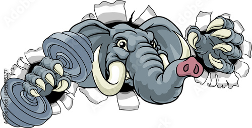 An elephant weight lifting ...