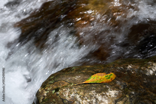 【くらがり渓谷】葉が落ちた岩場を流れる渓流