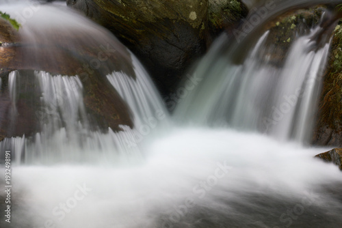 【くらがり渓谷】二つの流れが合流する渓流