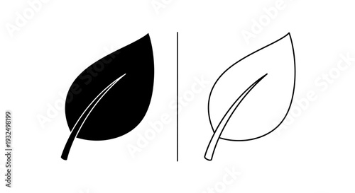 Minimalist leaf design comparison Vector