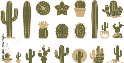Collection of stylized green and tan desert cactus illustrations in various unique shapes