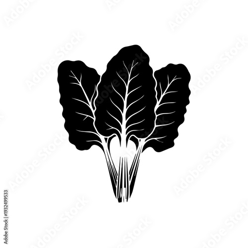 Minimalist black and white illustration of leafy green vegetable resembling kale or collard greens