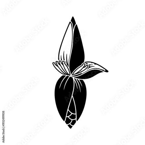 Elegant black and white butterfly perched on a stylized tulip bloom