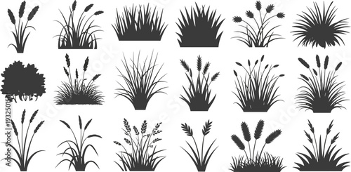 Grass and Wheat Plant Silhouette Collection, Black Nature Meadow Herbs Botanical Isolated Set Flat Vector Illustration Bundle Design