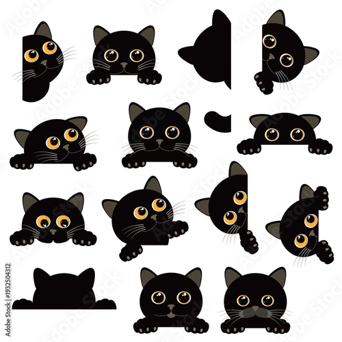 A collection of unique and interesting cat images,