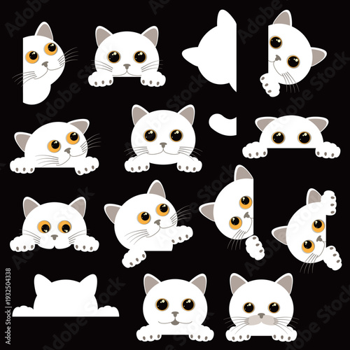 A collection of unique and interesting cat images,