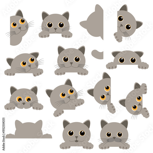 A collection of unique and interesting cat images,