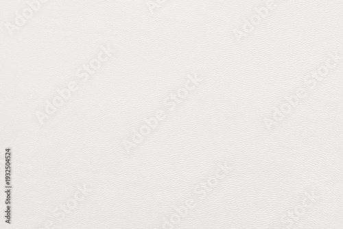 Cuadro en lienzo genuine leather texture