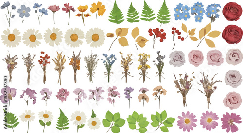 Set of Various Pressed Dried Flowers and Green Leaves Illustration isolated PNG with Transparent Background