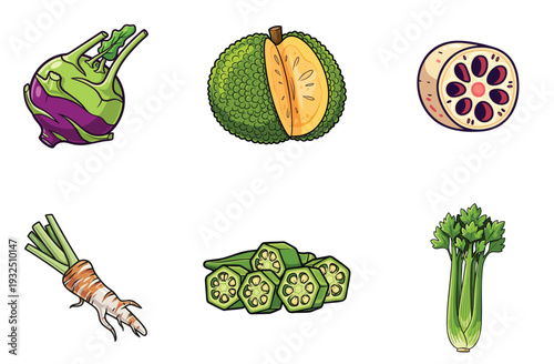 Kohlrabi vegetable illustration, whole and healthy organic produce isolated on white background, cartoon style graphic, vibrant colors, healthy food concept