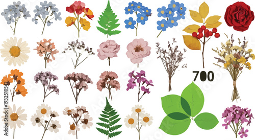Set of Various Dried Pressed Flowers and Leaves Vector isolated PNG with Transparent Background