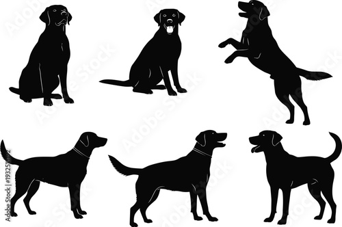 Silhouettes of dogs sitting standing walking playful postures diverse poses animal behavior design illustration
