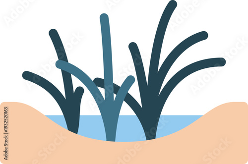 Rain garden water management