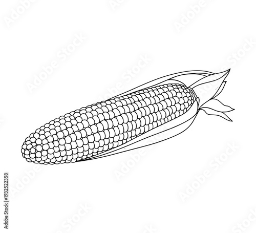 Cob of corn
