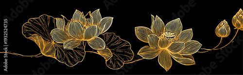 Gold Lotus Line Art on Black Background