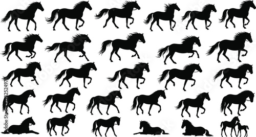 Silhouettes of horses running trotting standing lying motion sequence biomechanics equine science animation design illustration