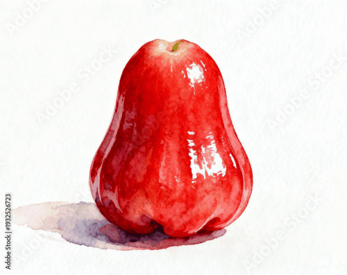 Tasty Water Apple rose apple isolated watercolor vector illustration svg