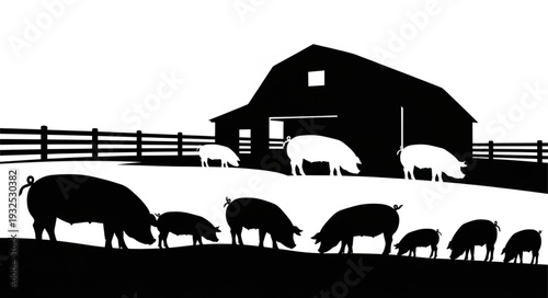 Pigs Grazing Near Barn Silhouette.