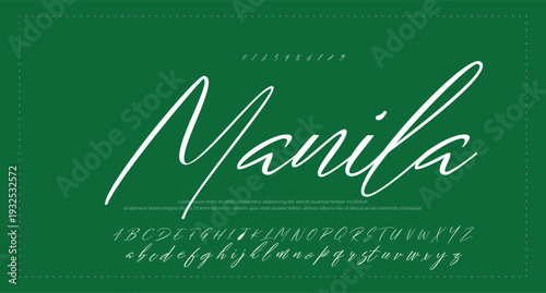  Brush Script Logotype Font lettering handwritten  
by sufan